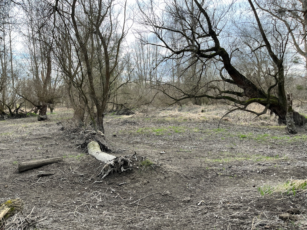 23-02-18 14-43-18 4258